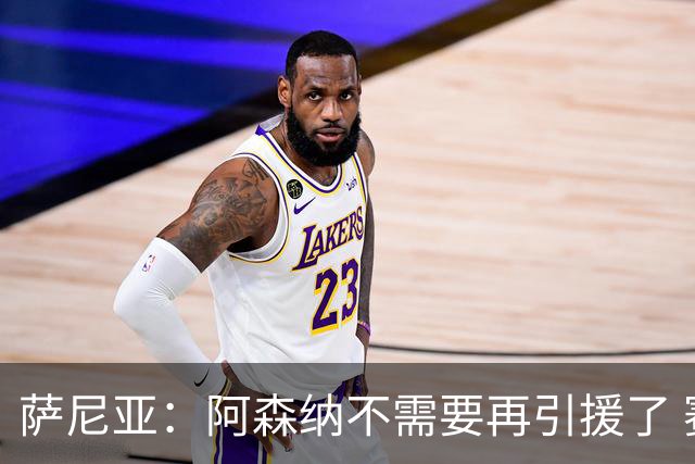 萨尼亚：阿森纳不需要再引援了 赛季最佳球员我选廷伯